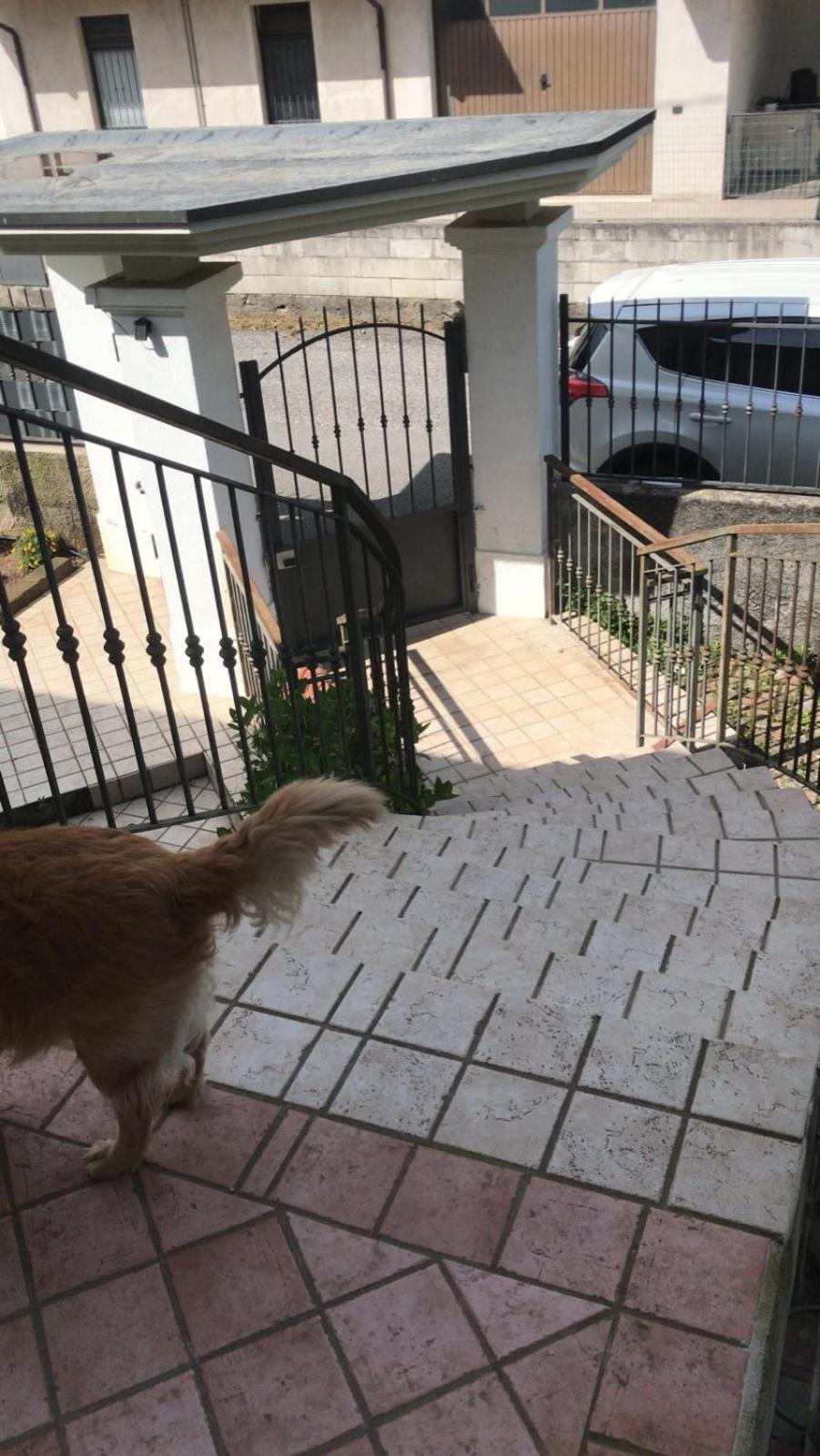 Bb La Collina Botticino Bed & Breakfast Botticino Sera Dış mekan fotoğraf